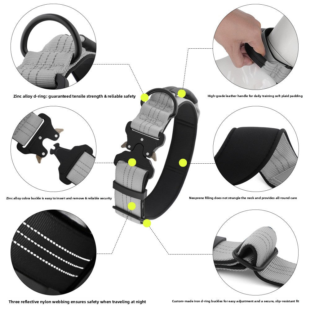Heavy-Duty Dog Collar with Handle | Small to Large Dogs