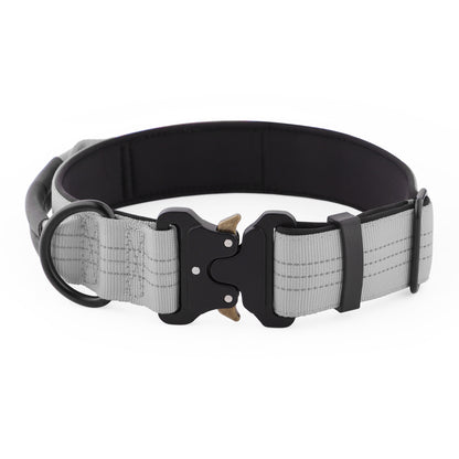 Heavy-Duty Dog Collar with Handle | Small to Large Dogs