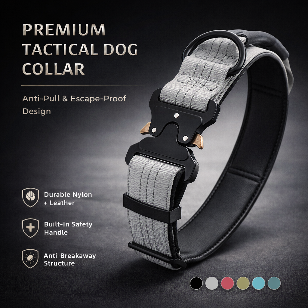 Heavy-Duty Dog Collar with Handle | Small to Large Dogs